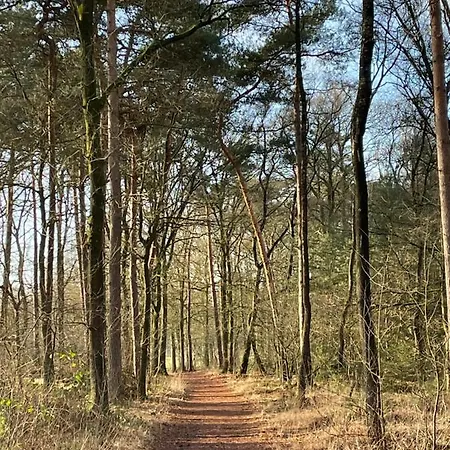 De Parel Valkenbosch 度假居