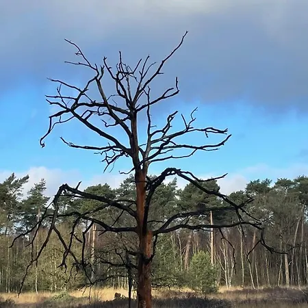 Feriehus De Parel Valkenbosch Oisterwijk