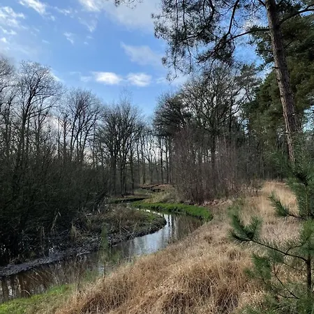 De Parel Valkenbosch 度假居