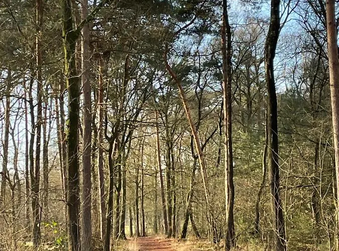 De Parel Valkenbosch Hébergement de vacances