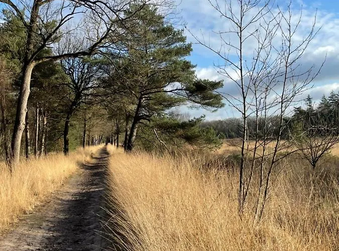 De Parel Valkenbosch