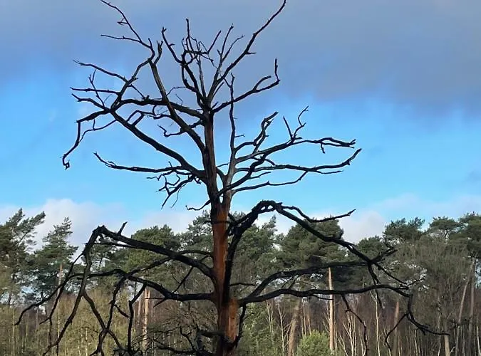 Hébergement de vacances De Parel Valkenbosch Oisterwijk