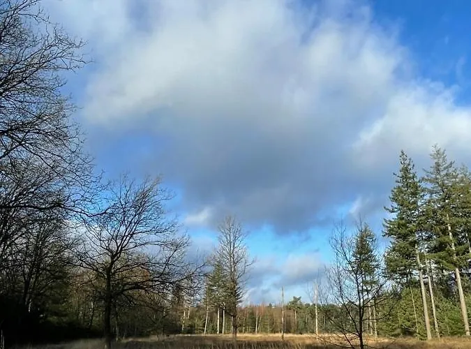 Hébergement de vacances De Parel Valkenbosch Oisterwijk