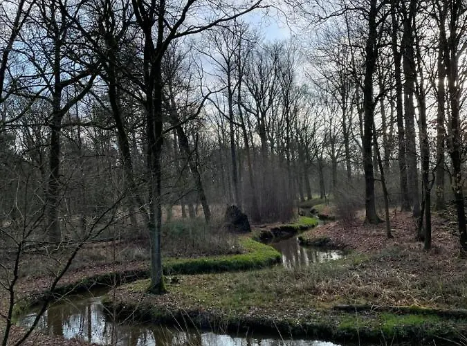 De Parel Valkenbosch Hébergement de vacances Oisterwijk